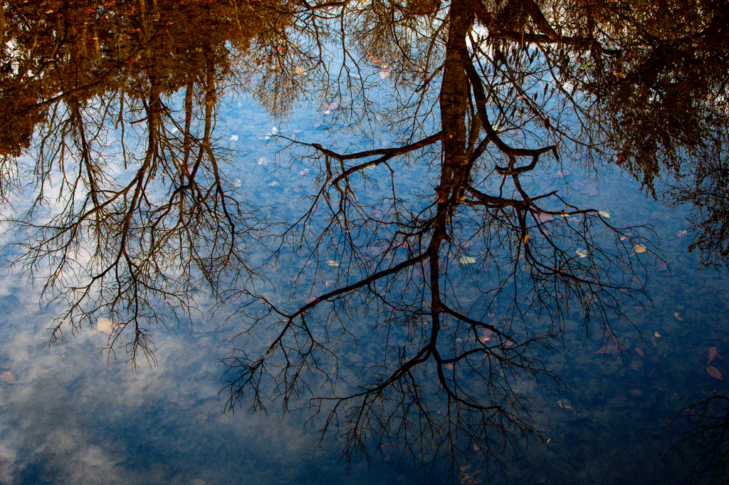 Environments: November 