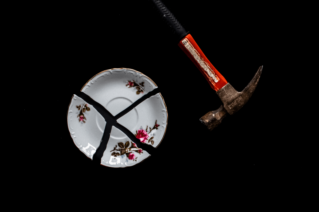 Paper Birds: Placed&nbsp;Out